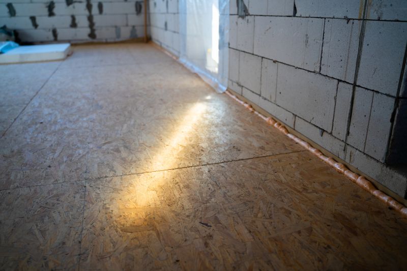 Interior Subfloor Conditions