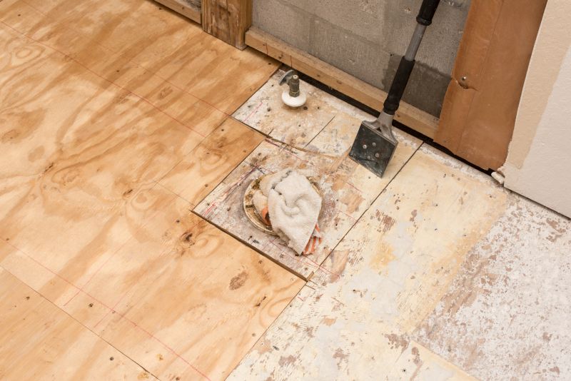 Subfloor Surface Inspection